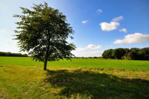 Overijssel bike rentals