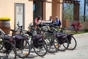 Umbria Bike rentals