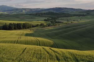 Tuscany bike rentals