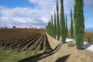 Tuscany bike rentals