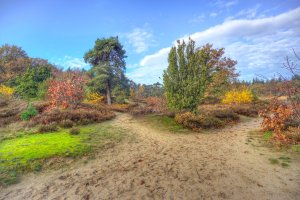 Drenthe- Bike rentals