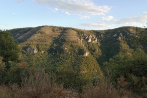 Languedoc Bike rentals