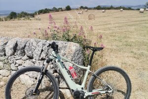 Bike rentals Sicily