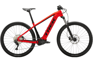 Standard E-MTB