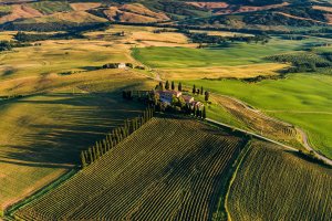 Via Francigena Bike Hire