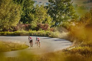 Emilia Romagna bike rentals