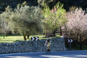 Costa Blanca bike rentals