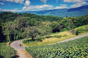 BiBike rentals Switzerland
