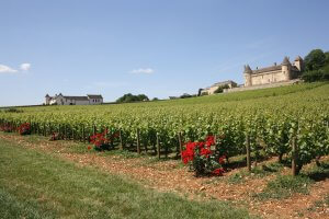 Burgundy bike rentals