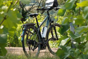 Burgundy bike rentals