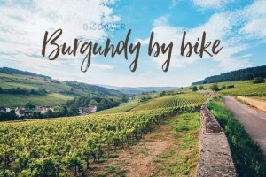 Burgundy bike rentals