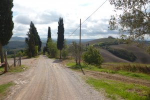 Chianti bike rentals