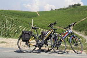 Piemont bike rentals