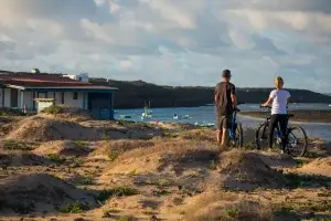Fuerteventura Bike rentals