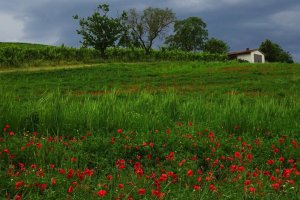 Le Marche bike hire