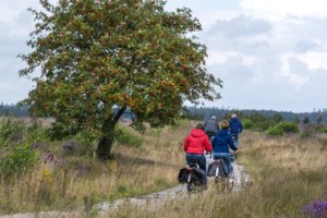 Cycling Drenthe