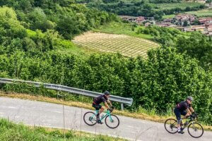 piemont