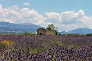 Provence bike rentals