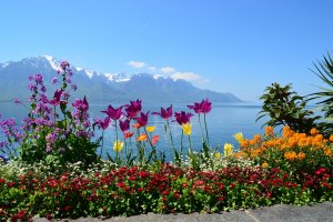 Lake Geneva Bike Rentals