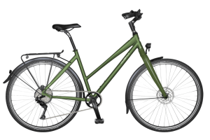 trekking Bike (1)
