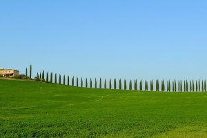 Tuscany bike rentals